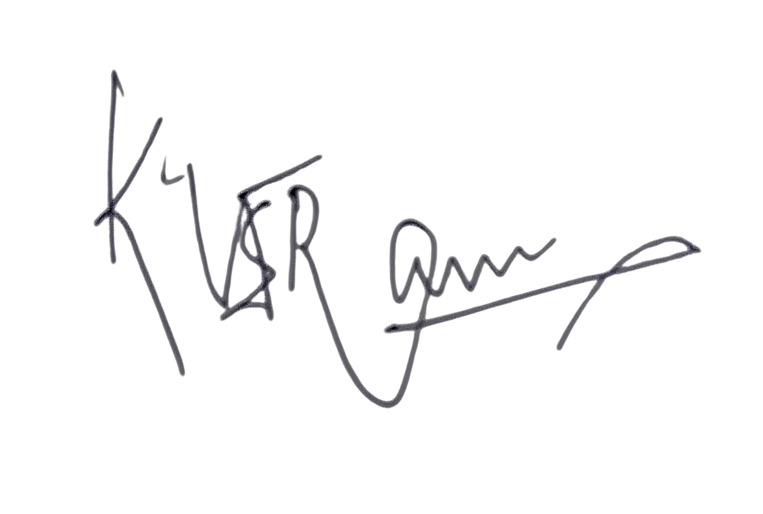 Chairman signature